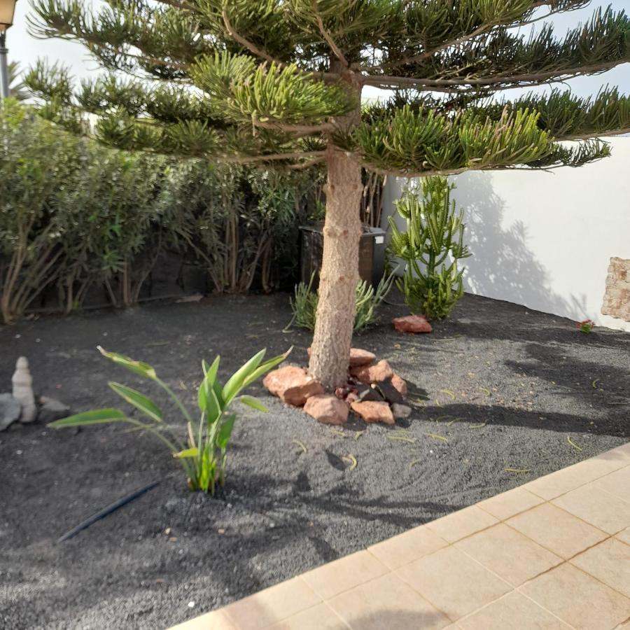 Villa Julima Playa Blanca Dış mekan fotoğraf